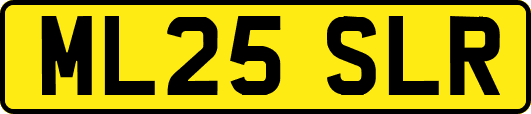 ML25SLR