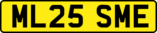 ML25SME