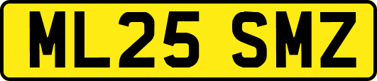 ML25SMZ