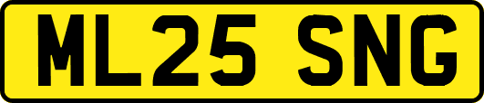 ML25SNG