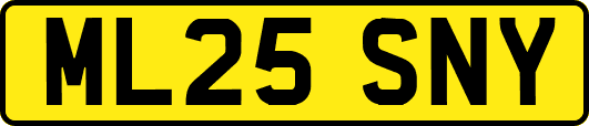 ML25SNY