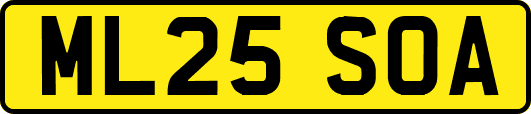 ML25SOA