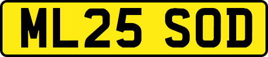 ML25SOD