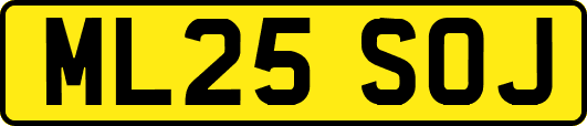 ML25SOJ