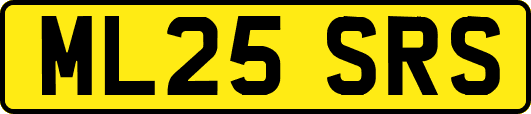 ML25SRS