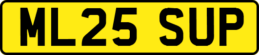 ML25SUP