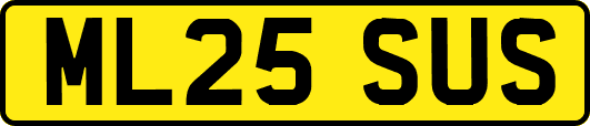 ML25SUS