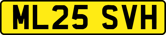 ML25SVH
