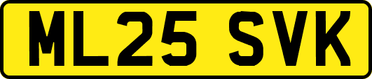 ML25SVK