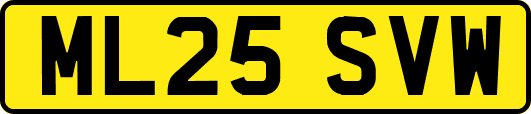 ML25SVW