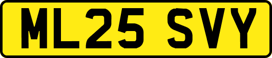 ML25SVY