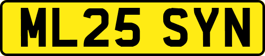 ML25SYN