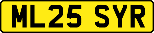 ML25SYR