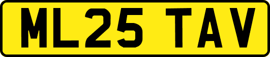ML25TAV