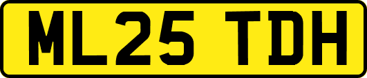 ML25TDH