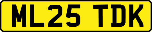 ML25TDK
