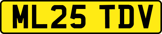 ML25TDV