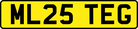 ML25TEG
