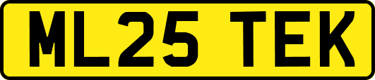 ML25TEK