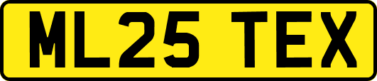 ML25TEX
