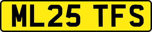 ML25TFS