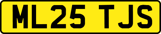 ML25TJS