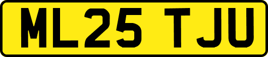 ML25TJU