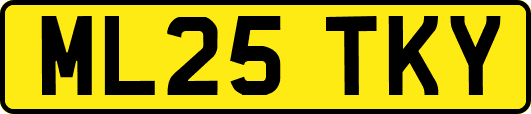 ML25TKY