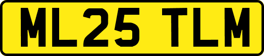 ML25TLM
