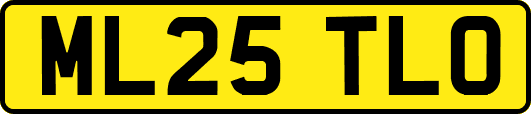 ML25TLO