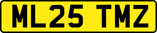 ML25TMZ