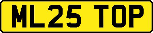 ML25TOP