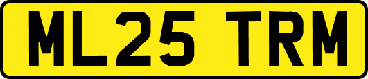 ML25TRM