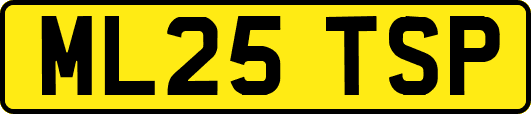 ML25TSP