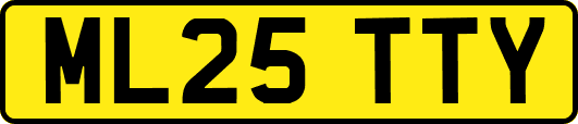 ML25TTY