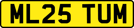 ML25TUM
