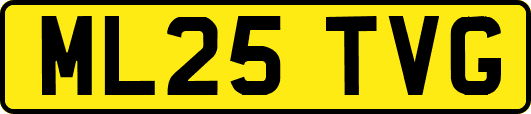 ML25TVG