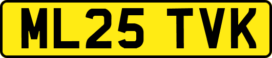 ML25TVK