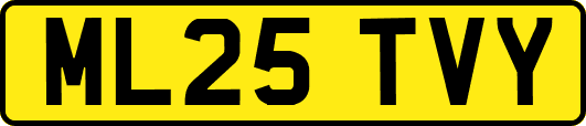 ML25TVY
