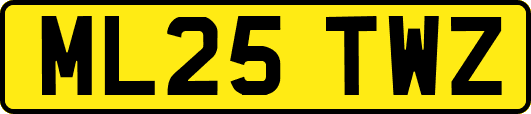 ML25TWZ
