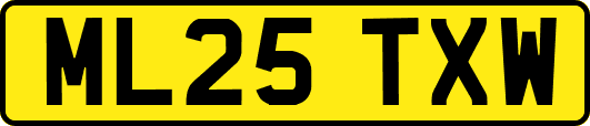 ML25TXW