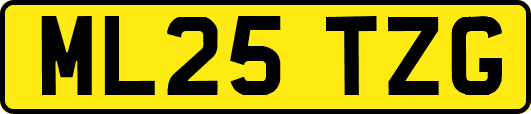 ML25TZG