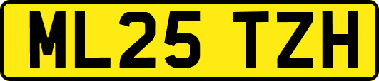 ML25TZH