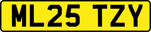 ML25TZY