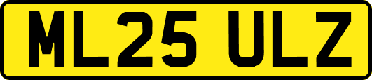 ML25ULZ