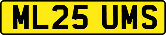 ML25UMS