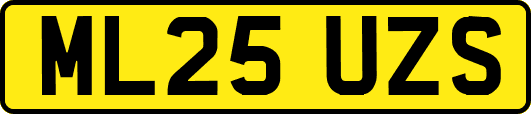 ML25UZS