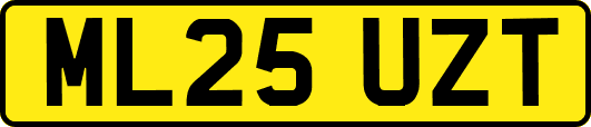 ML25UZT