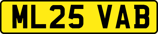ML25VAB