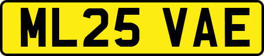 ML25VAE
